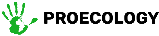 Логотип 1